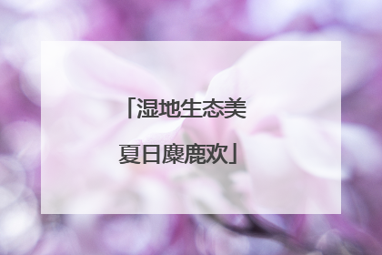 湿地生态美 夏日麋鹿欢