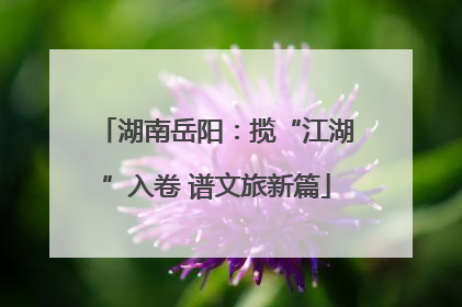 湖南岳阳：揽“江湖”入卷 谱文旅新篇