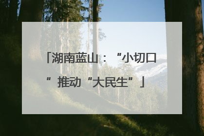 湖南蓝山：“小切口”推动“大民生”