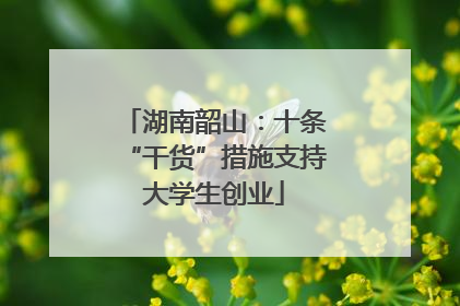 湖南韶山：十条“干货”措施支持大学生创业