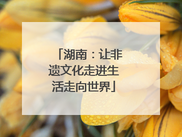 湖南：让非遗文化走进生活走向世界