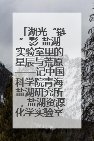 湖光“链”影 盐湖实验室里的星辰与荒原——记中国科学院青海盐湖研究所，盐湖资源化学实验室党总支书记、副主任刘忠