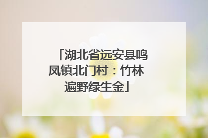 湖北省远安县鸣凤镇北门村：竹林遍野绿生金