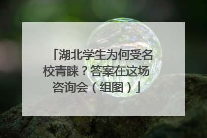 湖北学生为何受名校青睐？答案在这场咨询会（组图）