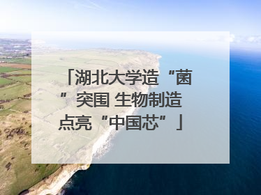 湖北大学造“菌”突围 生物制造点亮“中国芯”