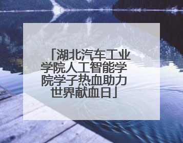 湖北汽车工业学院人工智能学院学子热血助力世界献血日