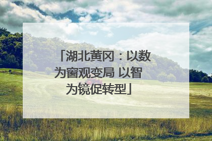 湖北黄冈：以数为窗观变局 以智为镜促转型