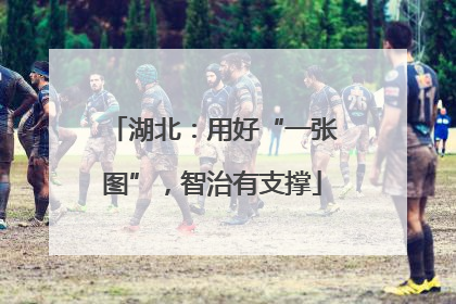 湖北：用好“一张图”，智治有支撑