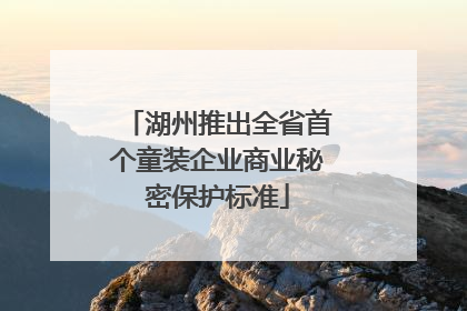 湖州推出全省首个童装企业商业秘密保护标准