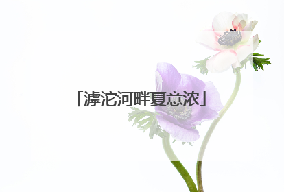 滹沱河畔夏意浓