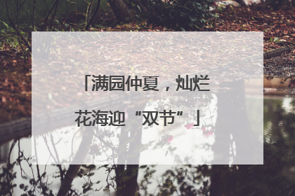 满园仲夏，灿烂花海迎“双节”