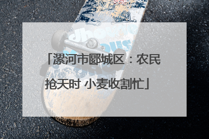 漯河市郾城区：农民抢天时 小麦收割忙
