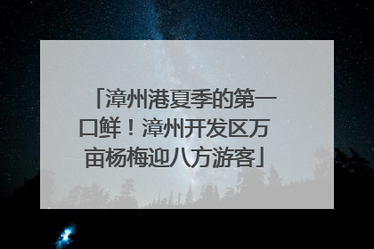 漳州港夏季的第一口鲜！漳州开发区万亩杨梅迎八方游客