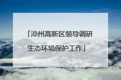 漳州高新区领导调研生态环境保护工作