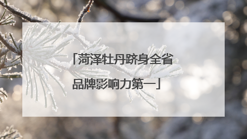 菏泽牡丹跻身全省品牌影响力第一