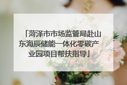 菏泽市市场监管局赴山东海辰储能一体化零碳产业园项目帮扶指导