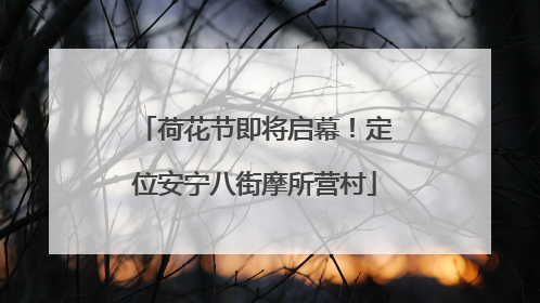 荷花节即将启幕！定位安宁八街摩所营村