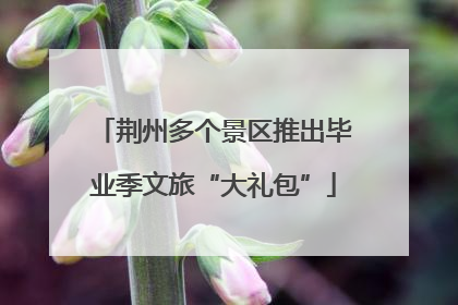 荆州多个景区推出毕业季文旅“大礼包”