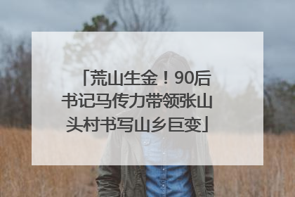 荒山生金！90后书记马传力带领张山头村书写山乡巨变