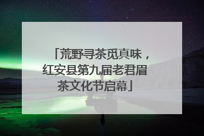 荒野寻茶觅真味，红安县第九届老君眉茶文化节启幕