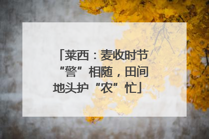 莱西：麦收时节“警”相随，田间地头护“农”忙