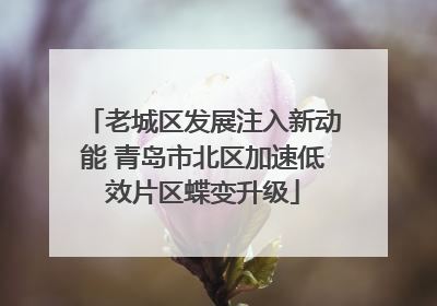老城区发展注入新动能 青岛市北区加速低效片区蝶变升级