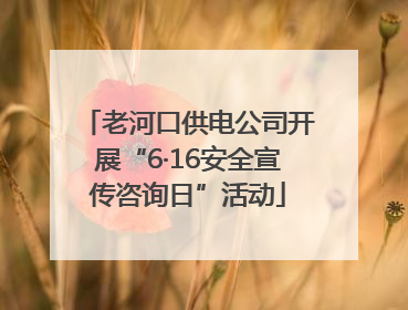 老河口供电公司开展“6·16安全宣传咨询日”活动