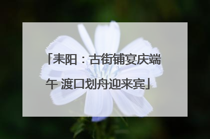 耒阳：古街铺宴庆端午 渡口划舟迎来宾