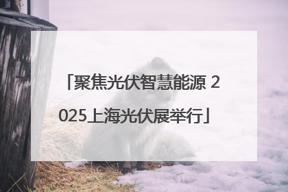 聚焦光伏智慧能源 2025上海光伏展举行