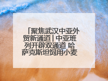 聚焦武汉中亚外贸新通道│中亚班列开辟双通道 哈萨克斯坦饲用小麦将抵鄂