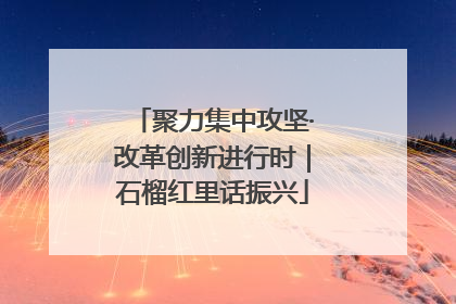 聚力集中攻坚·改革创新进行时｜石榴红里话振兴