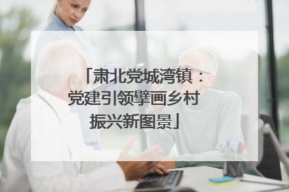 肃北党城湾镇：党建引领擘画乡村振兴新图景
