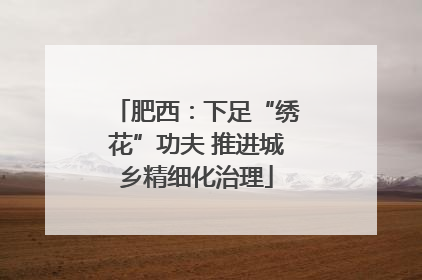 肥西：下足“绣花”功夫 推进城乡精细化治理