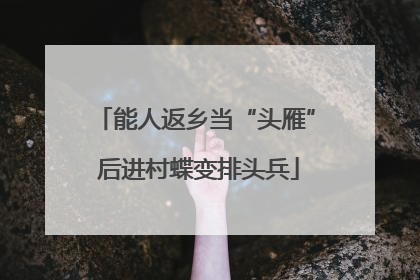 能人返乡当“头雁” 后进村蝶变排头兵