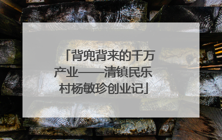 背兜背来的千万产业——清镇民乐村杨敏珍创业记