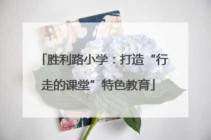 胜利路小学：打造“行走的课堂”特色教育