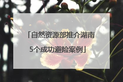 自然资源部推介湖南5个成功避险案例
