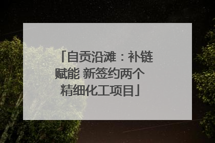 自贡沿滩：补链赋能 新签约两个精细化工项目
