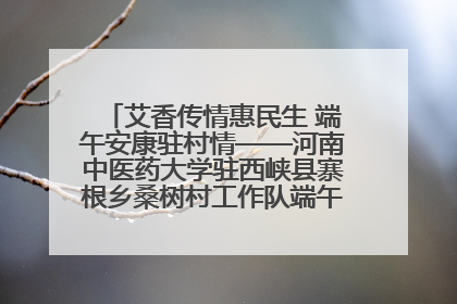 艾香传情惠民生 端午安康驻村情——河南中医药大学驻西峡县寨根乡桑树村工作队端午中医惠民记