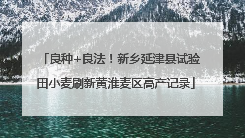 良种+良法！新乡延津县试验田小麦刷新黄淮麦区高产记录