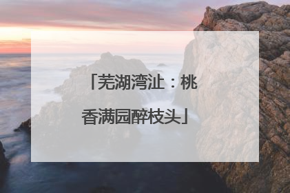 芜湖湾沚：桃香满园醉枝头