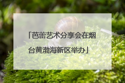 芭蕾艺术分享会在烟台黄渤海新区举办