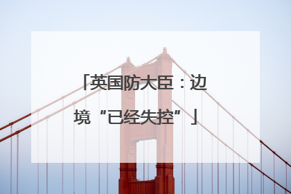 英国防大臣：边境“已经失控”
