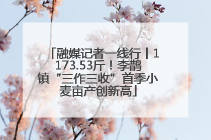 融媒记者一线行丨1173.53斤！李鹊镇“三作三收”首季小麦亩产创新高