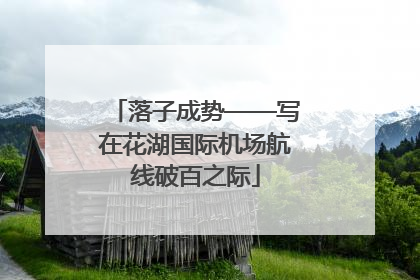 落子成势——写在花湖国际机场航线破百之际