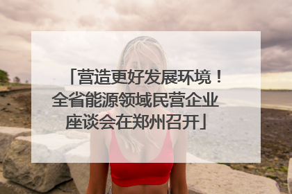 营造更好发展环境！全省能源领域民营企业座谈会在郑州召开
