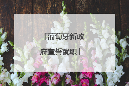 葡萄牙新政府宣誓就职