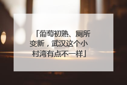 葡萄初熟、厕所变新，武汉这个小村湾有点不一样