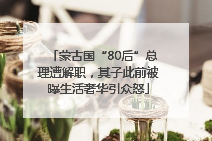 蒙古国“80后”总理遭解职，其子此前被曝生活奢华引众怒