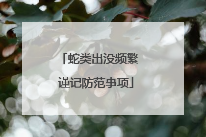 蛇类出没频繁 谨记防范事项